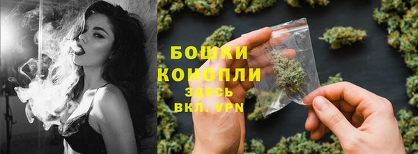 шишки Коряжма