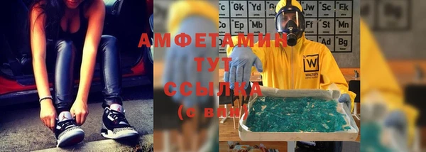 шишки Коряжма