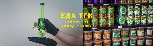 шишки Коряжма