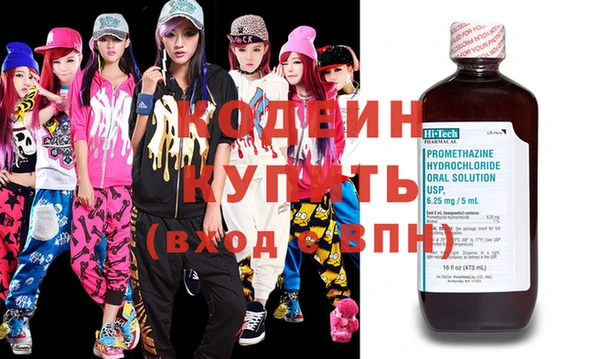 шишки Коряжма