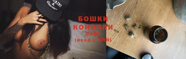 шишки Коряжма