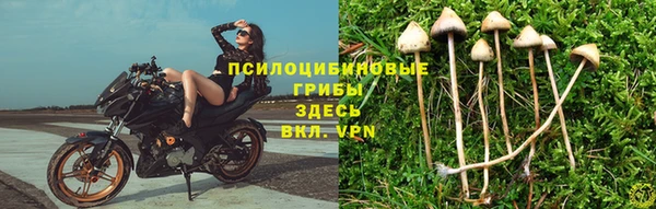 скорость Гатчина